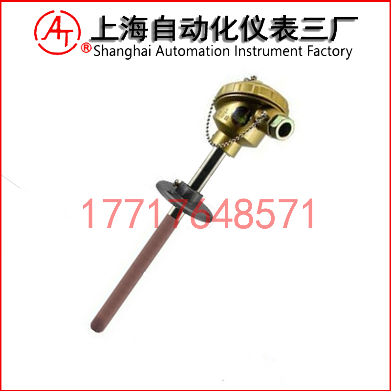 WRR2-321雙支鉑銠熱電偶